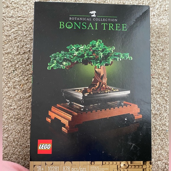 Bonsai  Tree